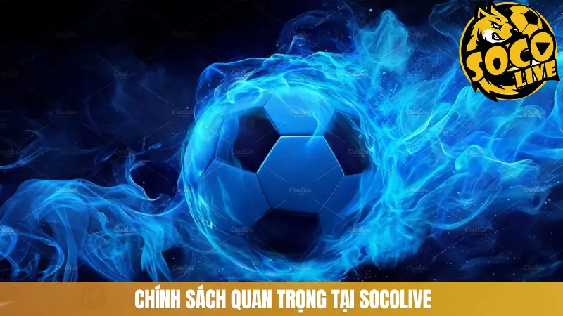 Chính sách quan trọng tại SOCOLIVE