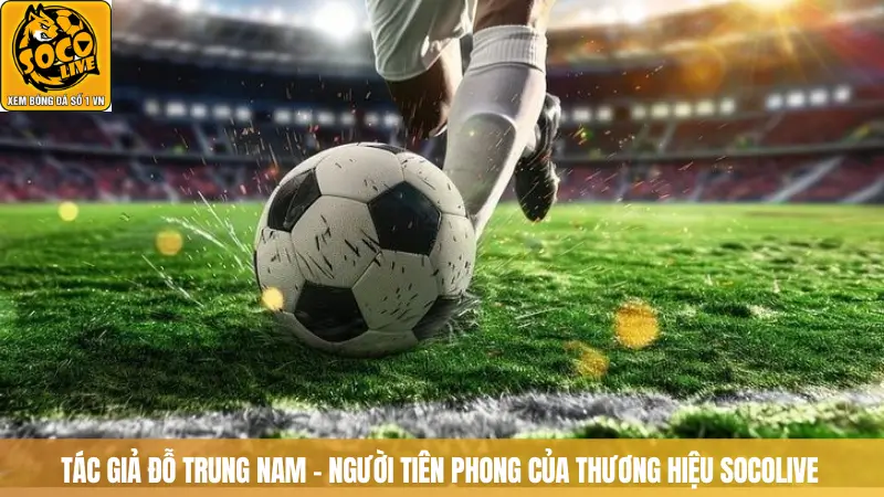Tác giả Đỗ Trung Nam - Người tiên phong của thương hiệu SOCOLIVE